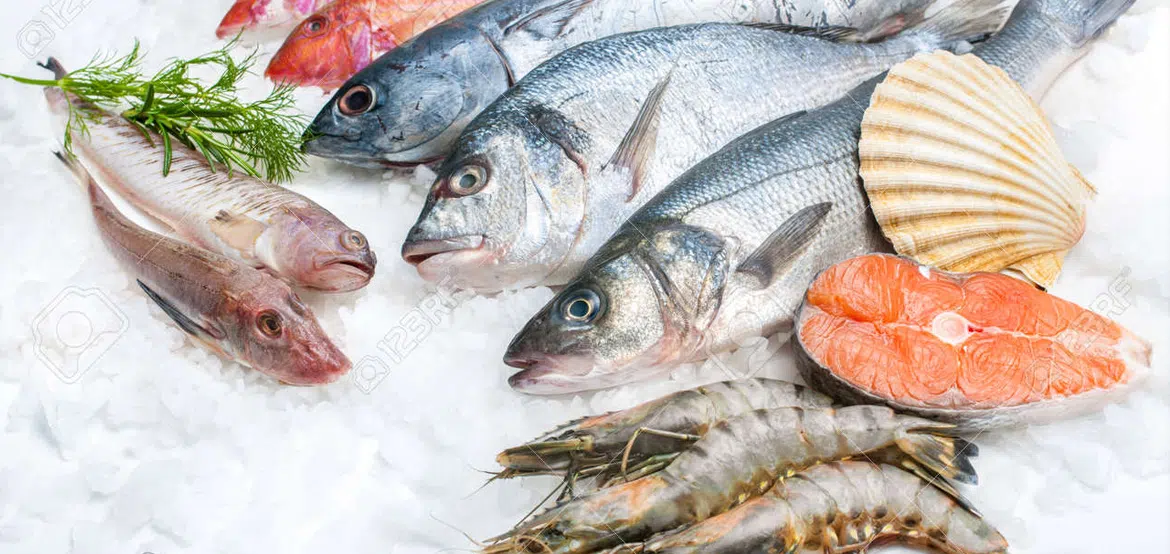 seafood